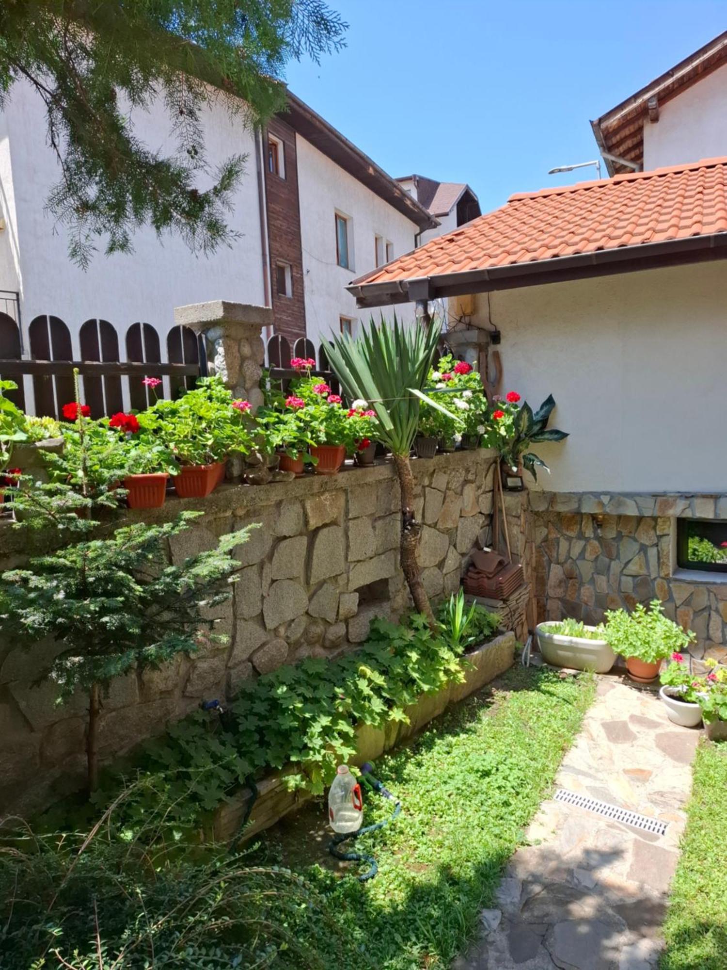 Guest House Skabrin Bansko Dış mekan fotoğraf